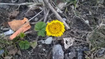 wp_20160316_17_37_24_pro